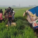 দ্রুতগতিতে আসার সময় বিপত্তি, কামারখালীতে উল্টে গেল পিকআপ ভ্যান—মৃত ১।।